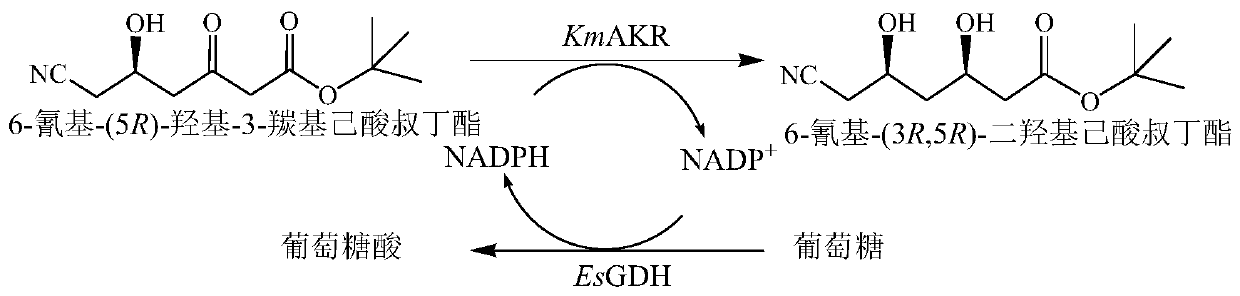 Recombinant aldo-keto reductase mutant and application thereof