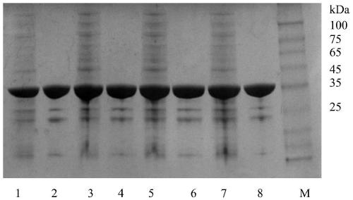 Recombinant aldo-keto reductase mutant and application thereof