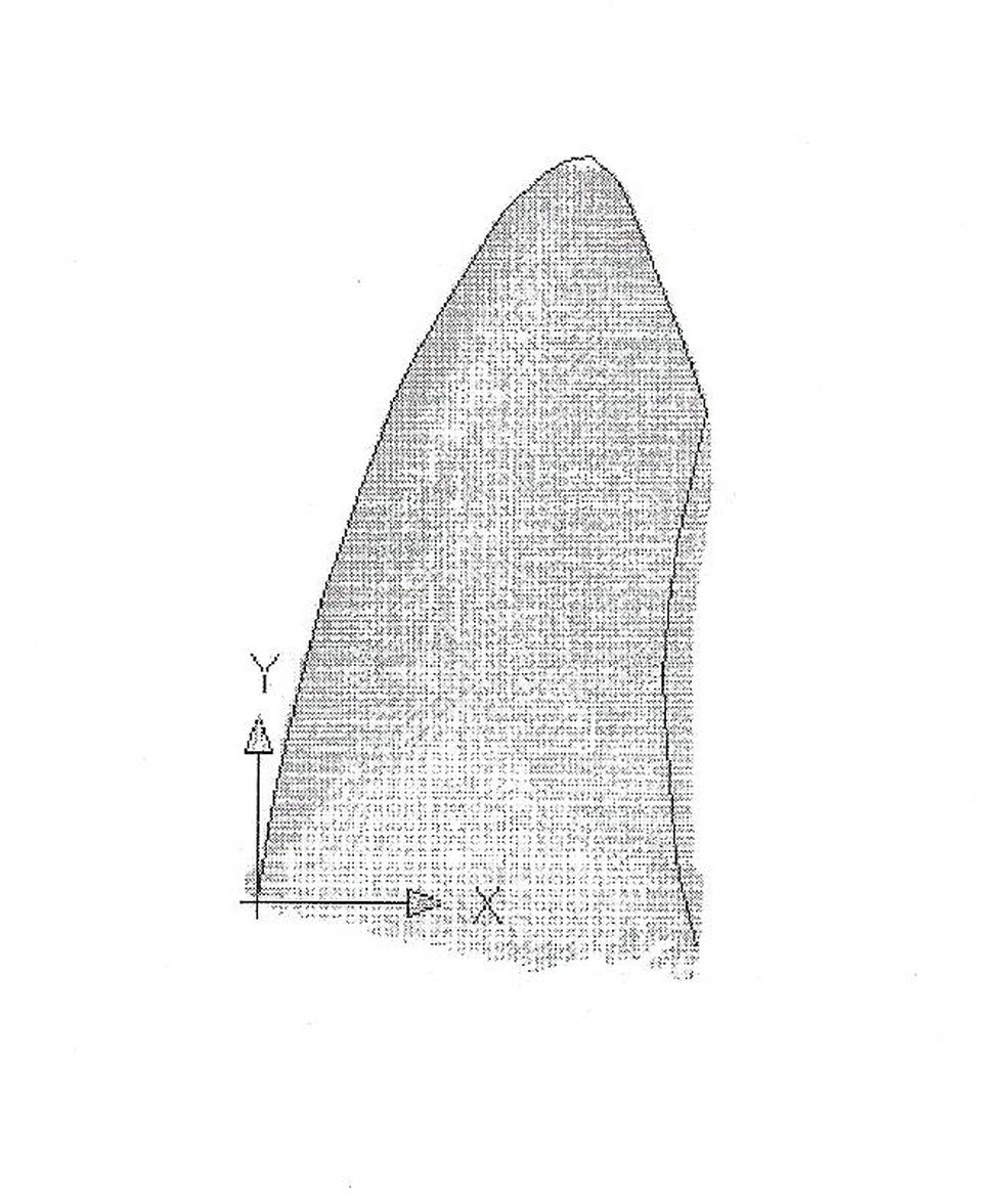 Bionic wheel lug for lunar vehicle wheel