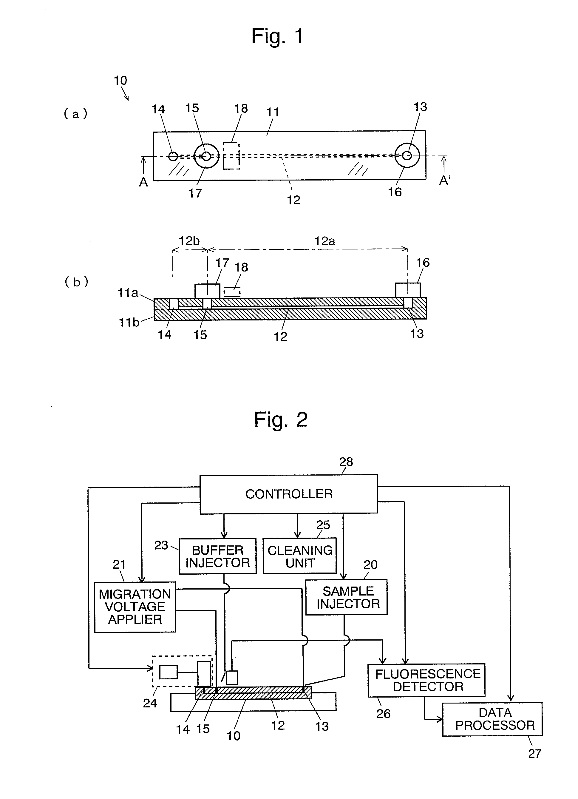 Electrophoretic chip and a method of electrophoresis