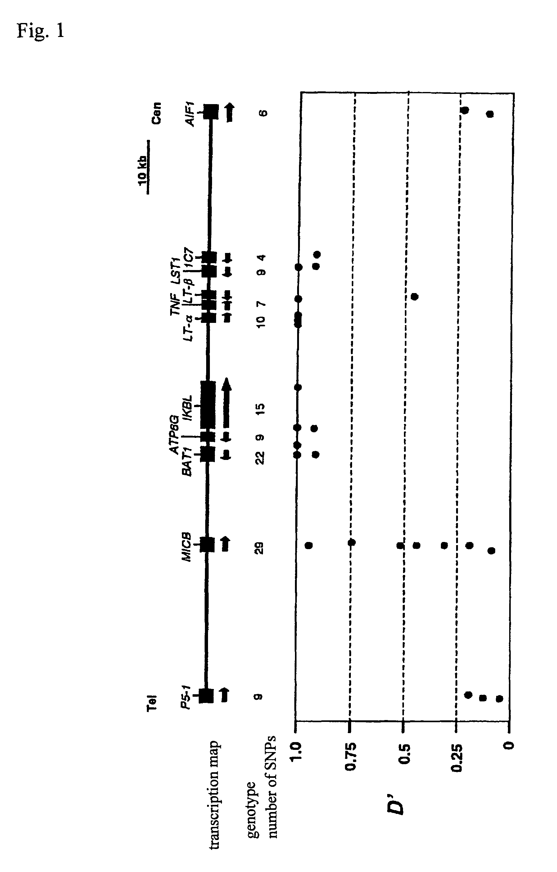 Method of judging inflammatory disease