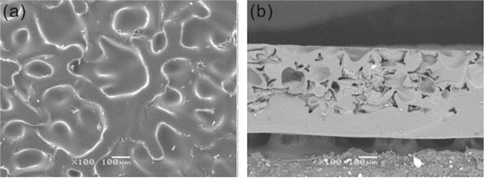 Foam metal-based multi-porous-channel IPMC electrically driven material and preparation method therefor