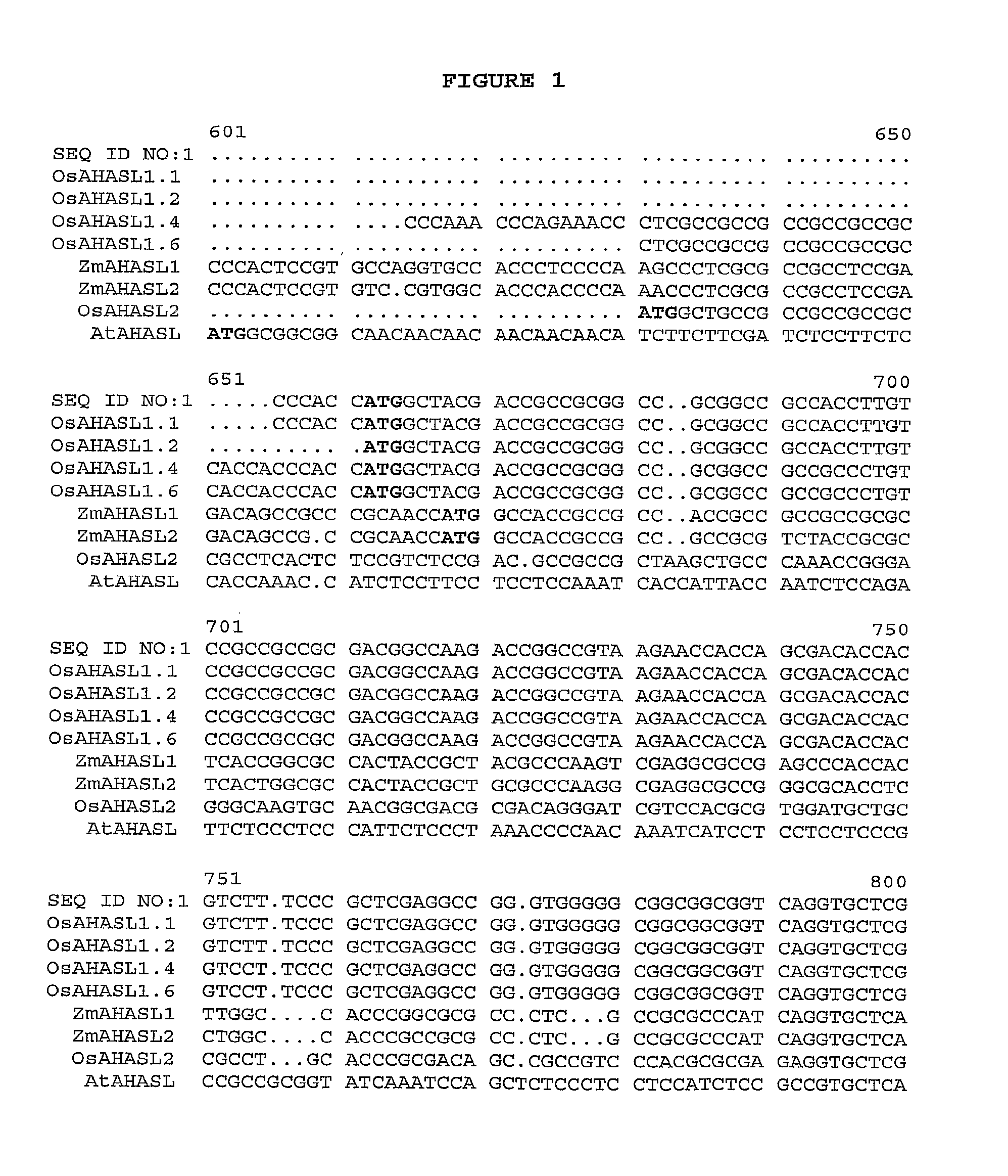 Herbicide-resistant rice plants, polynucleotides encoding herbicide resistant acetohydroxyacid synthase large subunit proteins, and methods of use