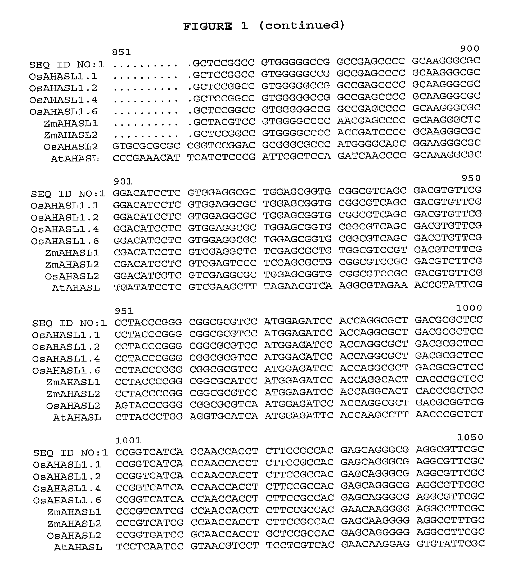 Herbicide-resistant rice plants, polynucleotides encoding herbicide resistant acetohydroxyacid synthase large subunit proteins, and methods of use