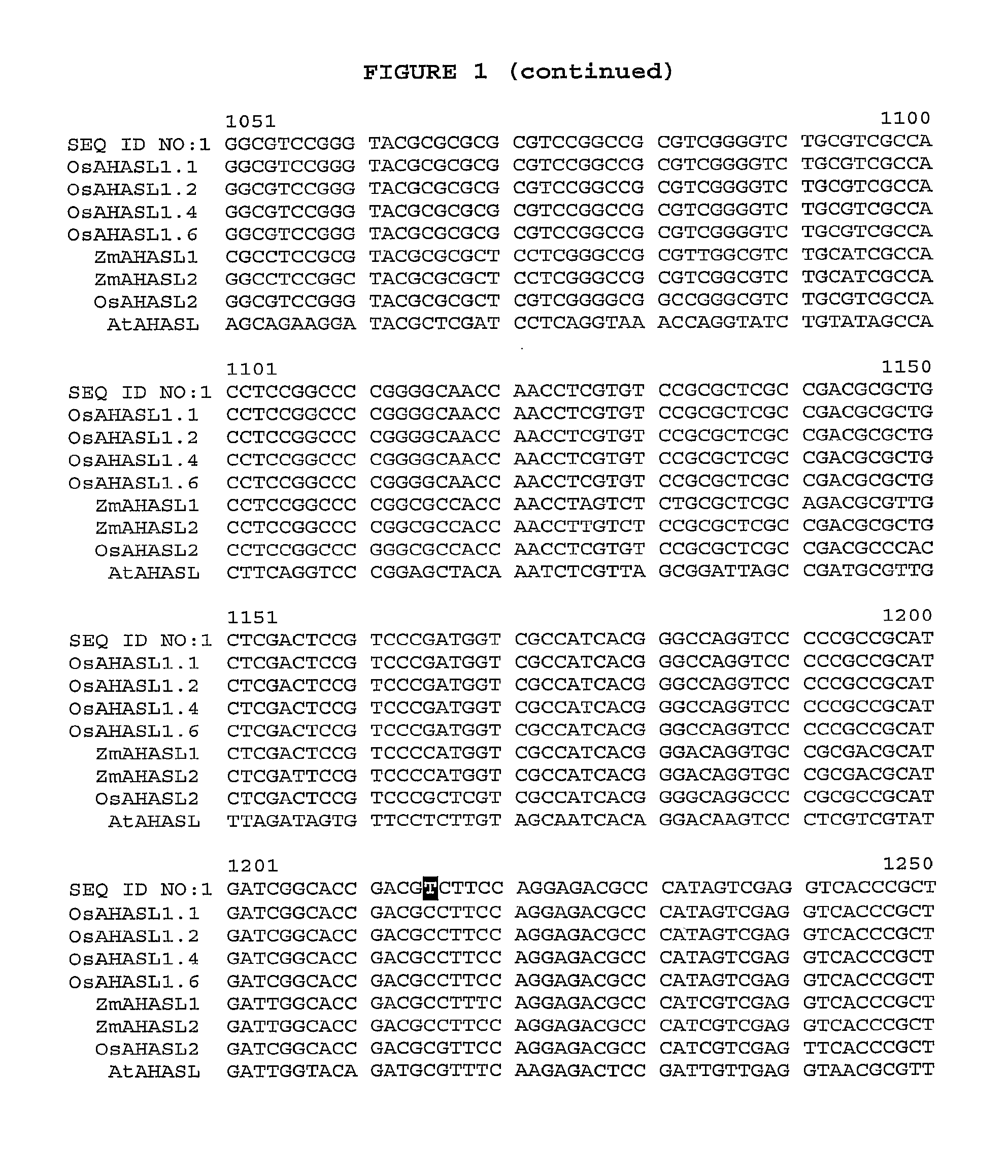 Herbicide-resistant rice plants, polynucleotides encoding herbicide resistant acetohydroxyacid synthase large subunit proteins, and methods of use