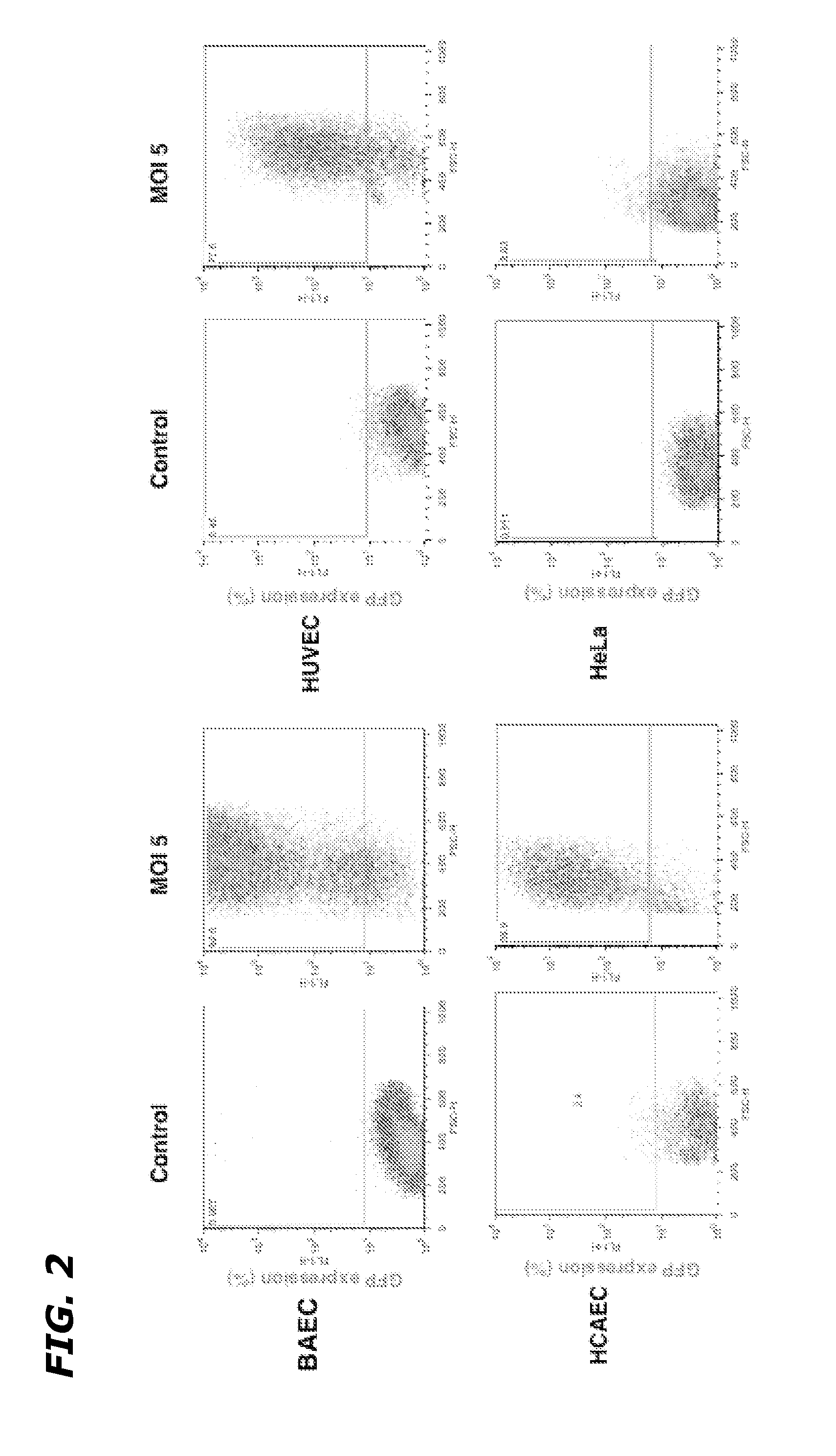 Method and Composition to Increase Radiation-Induced Tumor Therapeutic Effects