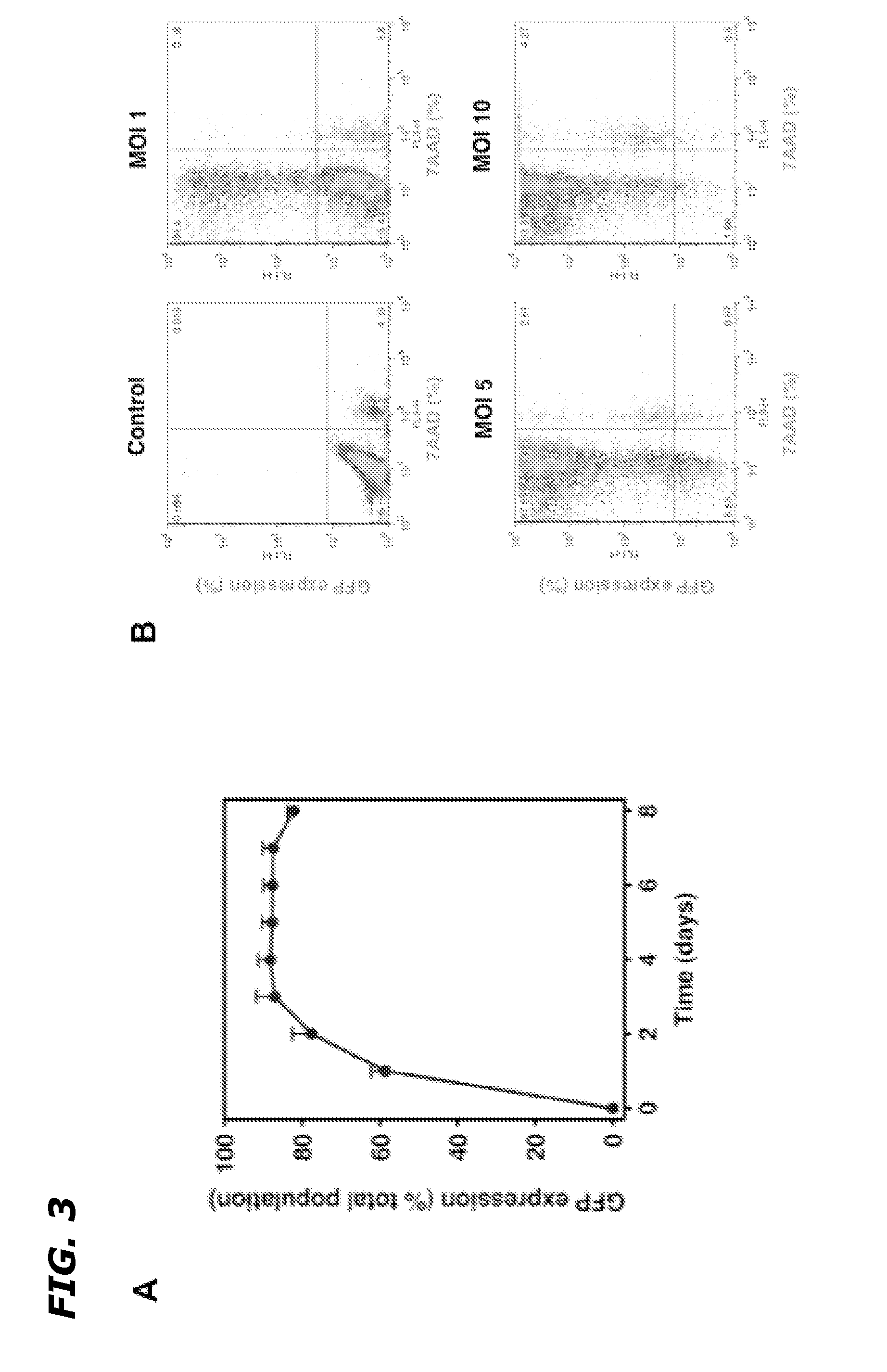Method and Composition to Increase Radiation-Induced Tumor Therapeutic Effects