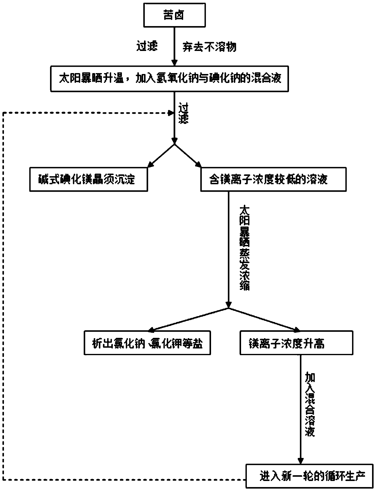 Method for preparing basic magnesium iodine crystal whiskers from bittern by using solar energy