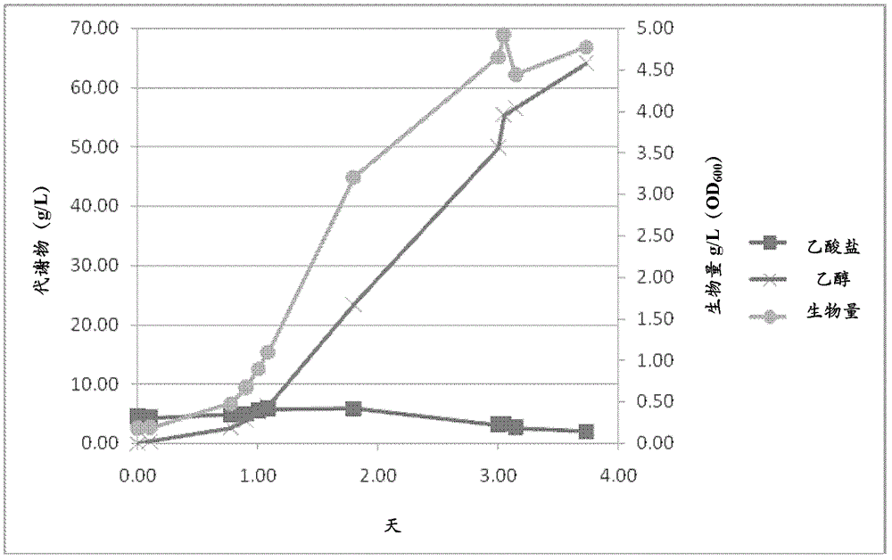 Improved carbon capture in fermentation