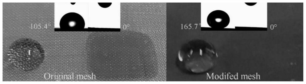 Super-hydrophobic metal net based on bionic mussels as well as preparation method and application of super-hydrophobic metal net