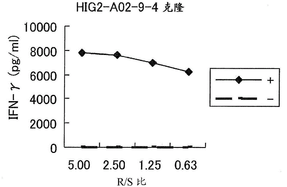 HIG2 and URLC10 epitope peptide and vaccines containing the same