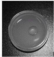 Method for detecting collagen enzymolysis activity of trepang cathepsin