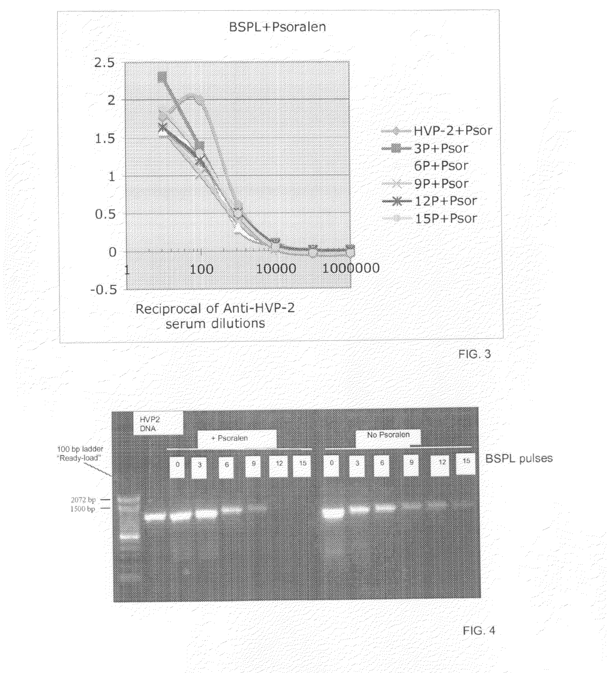 Photo-Inactivated Viruses and Systems and Methods of Using the Same