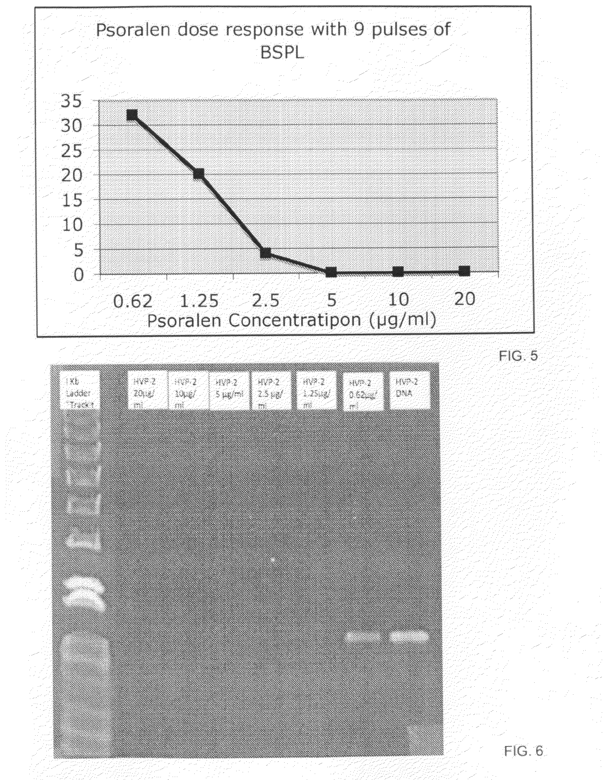 Photo-Inactivated Viruses and Systems and Methods of Using the Same