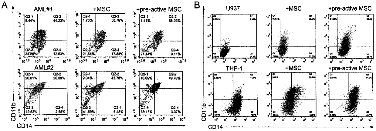 Induction method for improving capacity of mesenchymal stem cells in promoting acute myeloid leukemia cell differentiation
