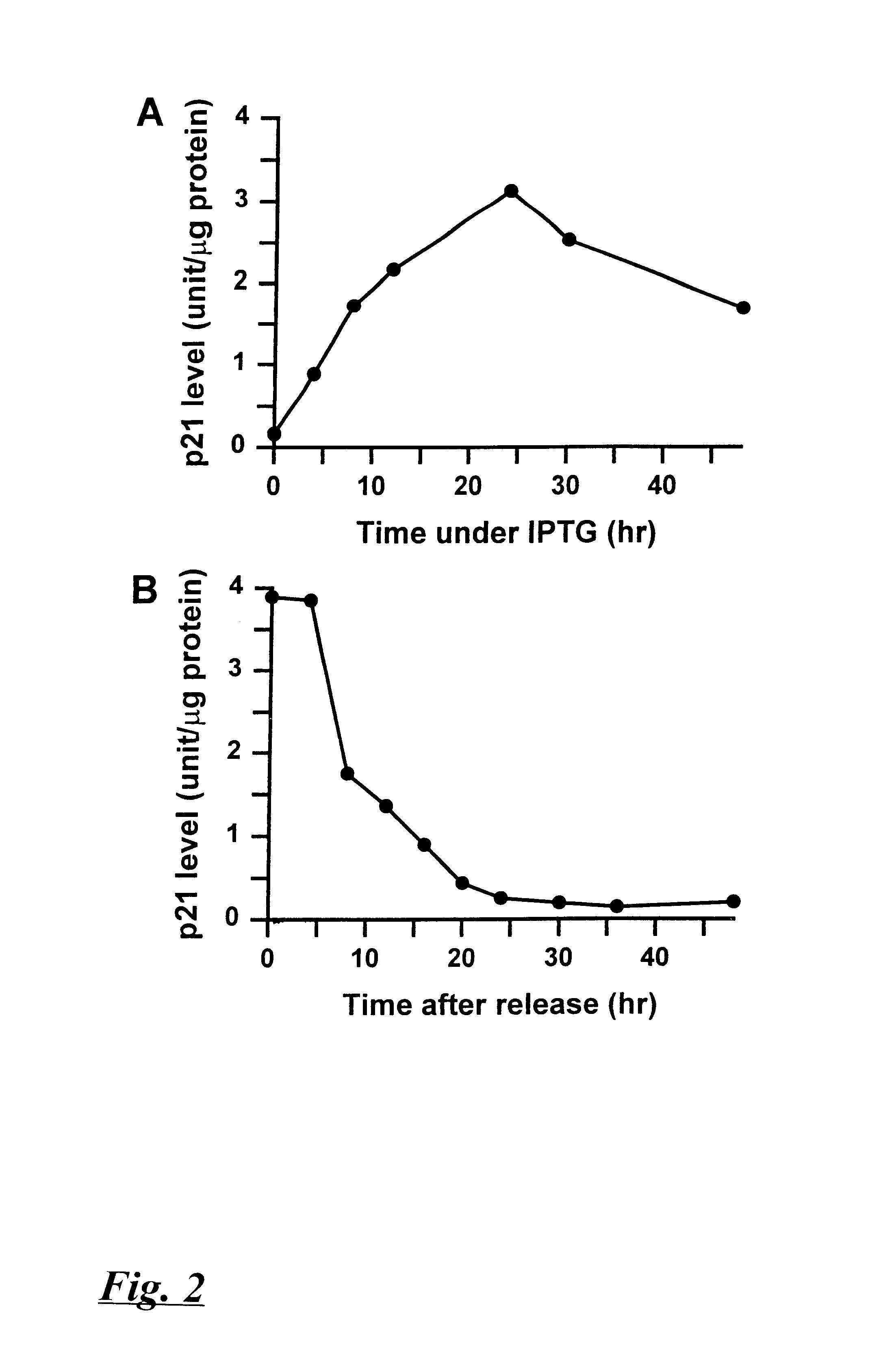 Reagents and methods for identifying and modulating expression of genes regulated by p21