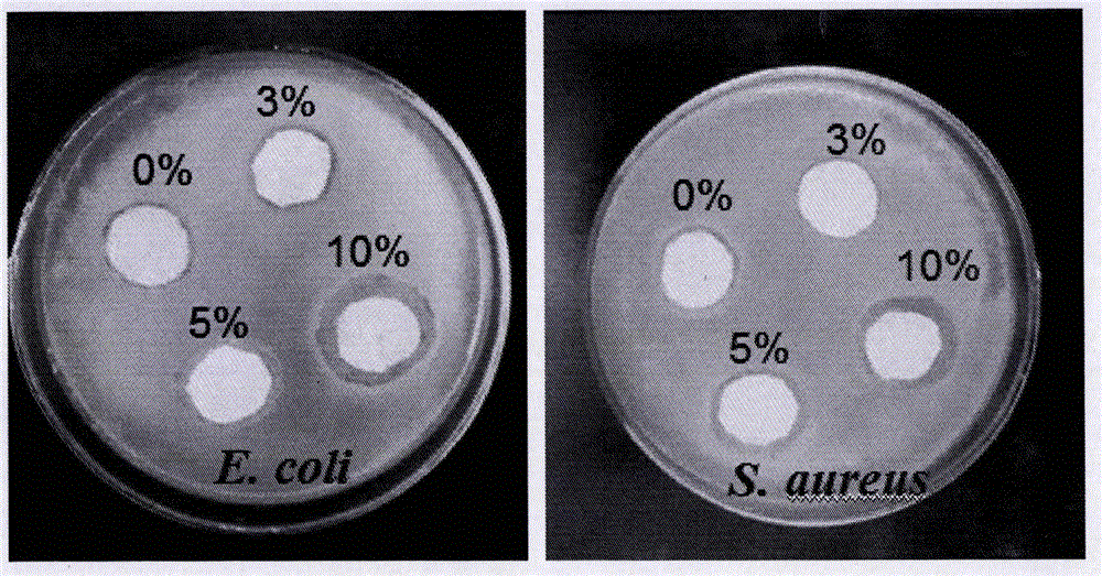 Preparation method of silver-loaded nano cellulose-chitosan composite film