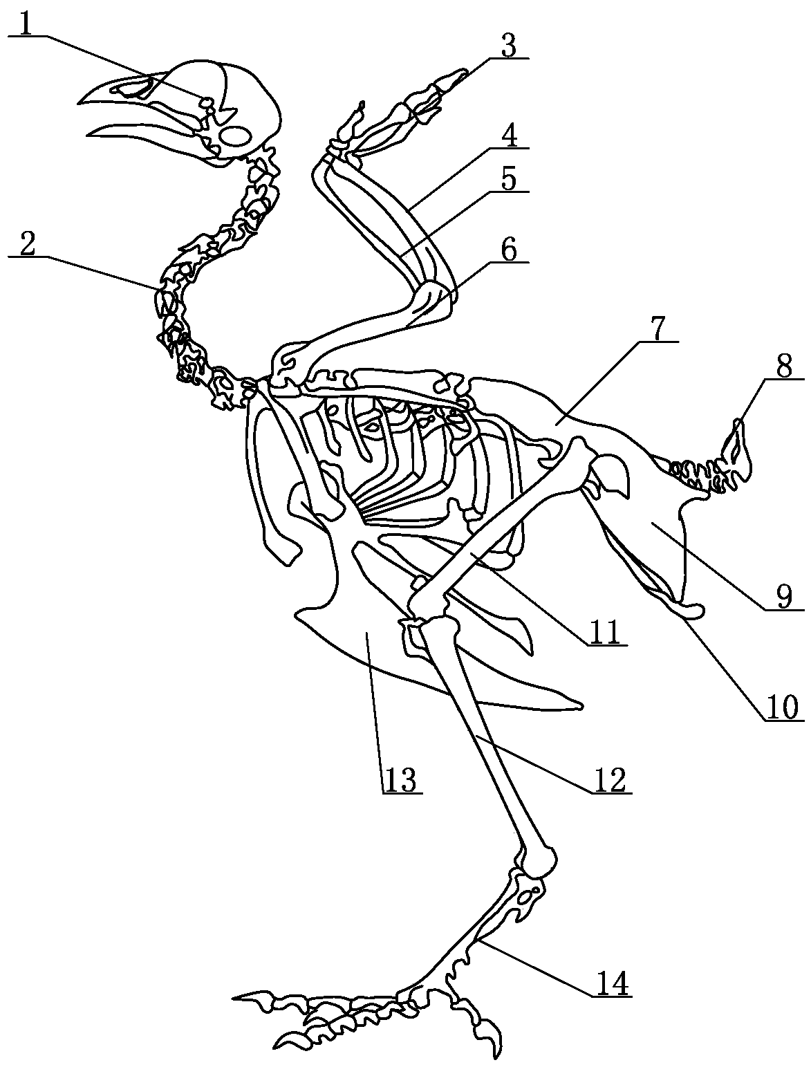 Method for removing bones from whole chicken