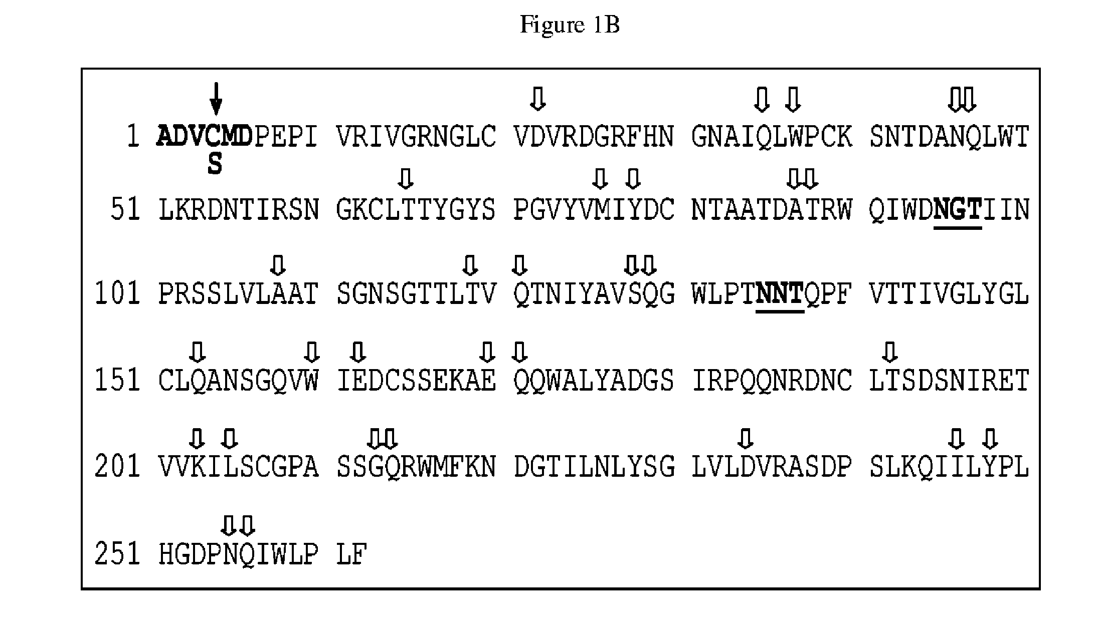 Methods of delivery of molecules to cells using a ricin subunit and compositions relating to same