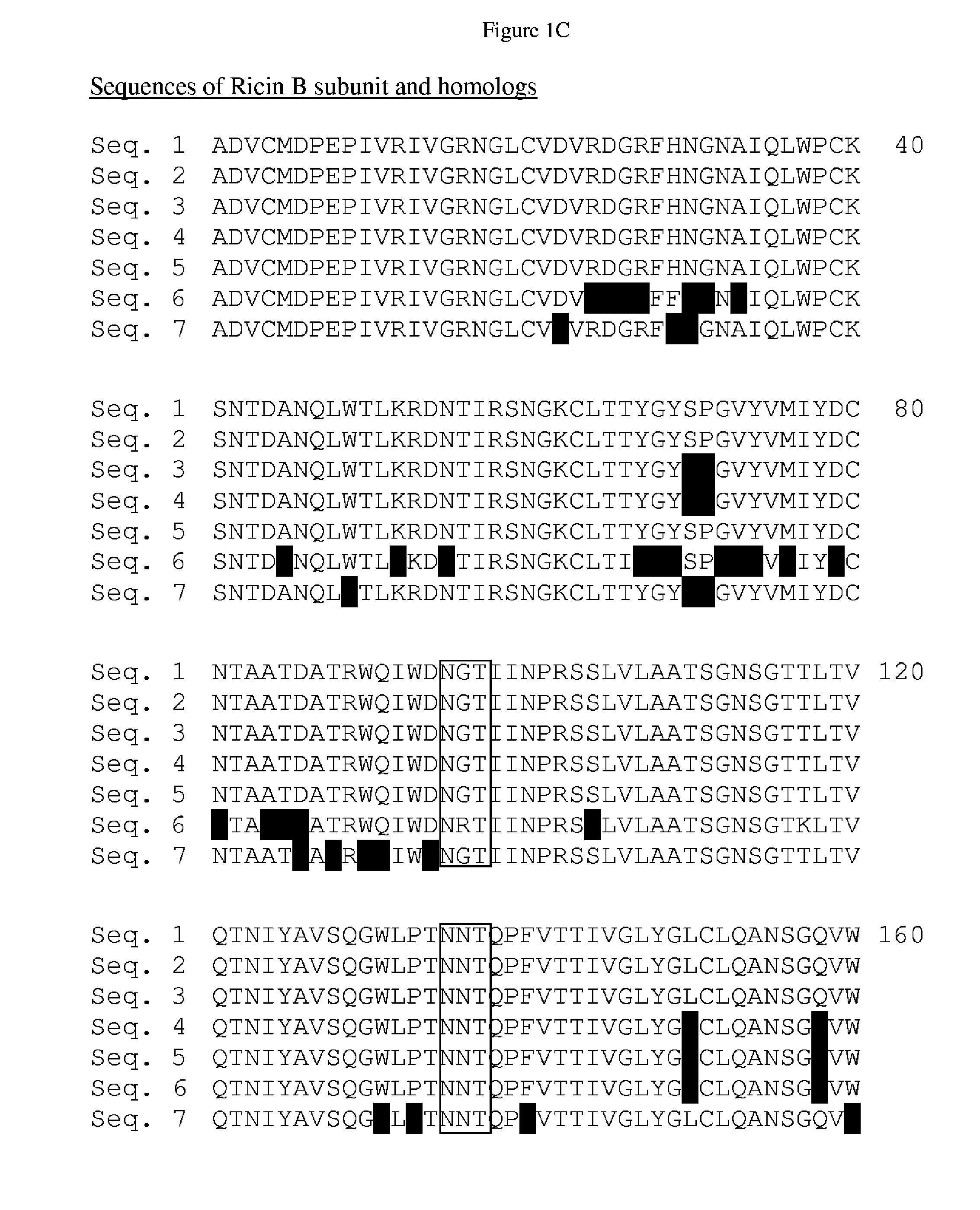 Methods of delivery of molecules to cells using a ricin subunit and compositions relating to same