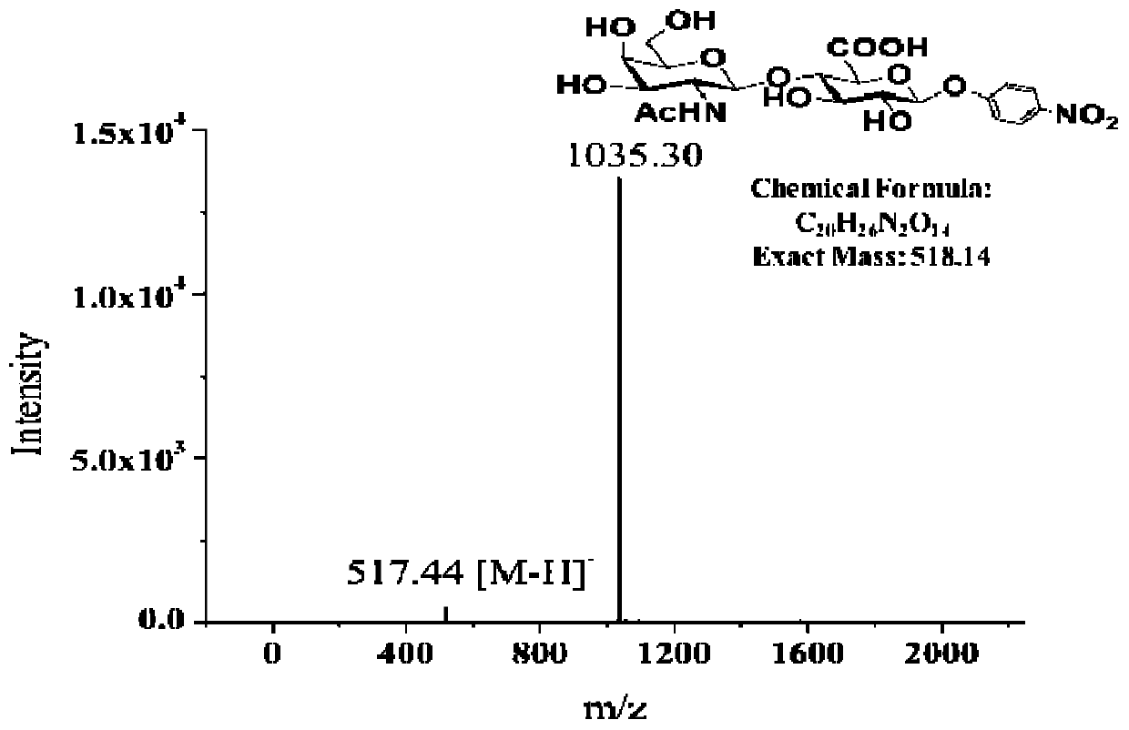 Chondroitin sulfate synthase and encoding gene and application thereof