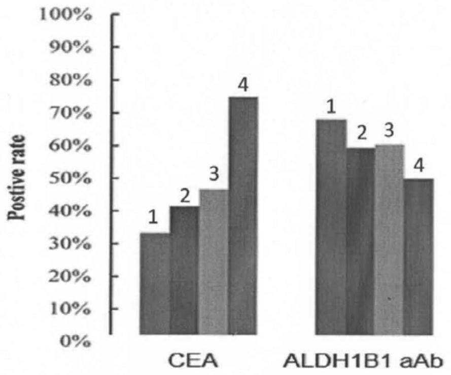 Serum ALDH1B1 autoantibody quantitative detection kit and application thereof