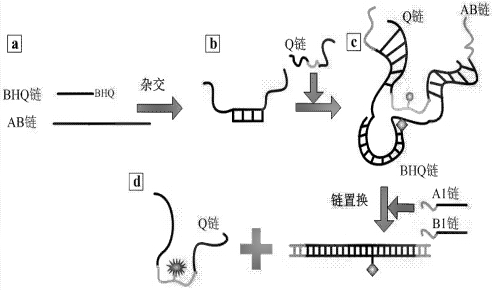 A dna self-assembled structure and a symmetric encryption system based on it