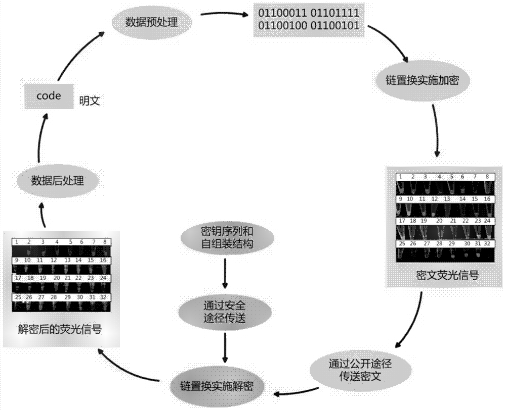 A dna self-assembled structure and a symmetric encryption system based on it