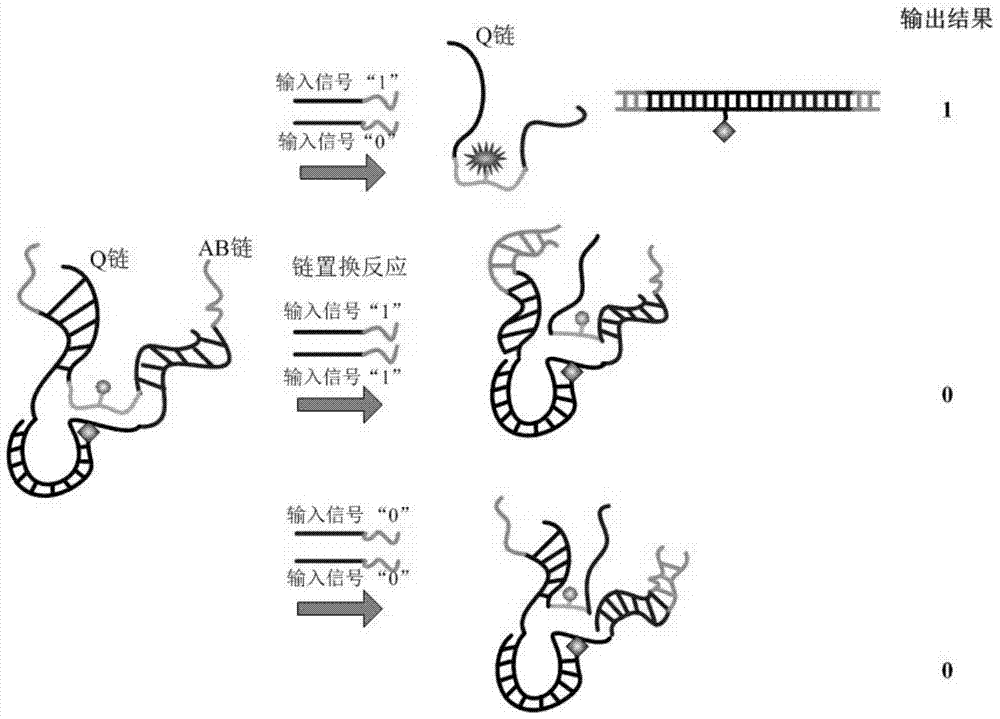 A dna self-assembled structure and a symmetric encryption system based on it