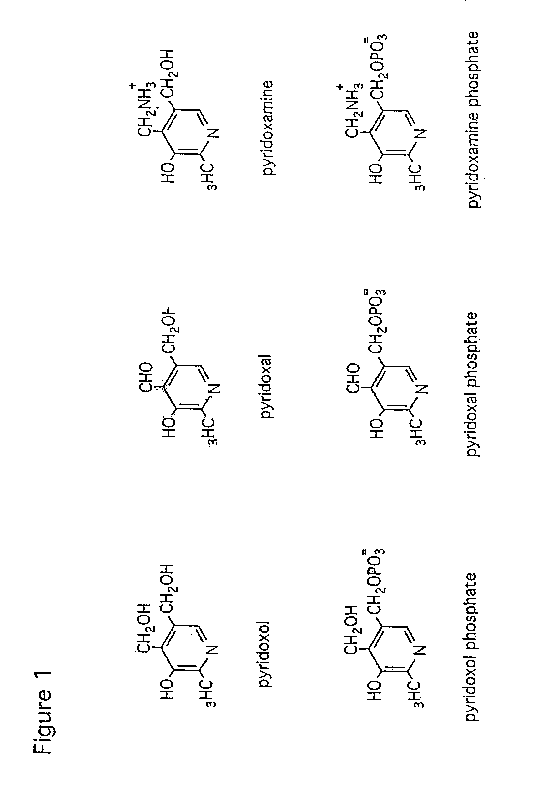 Methods and organisms for production of b6 vitamers