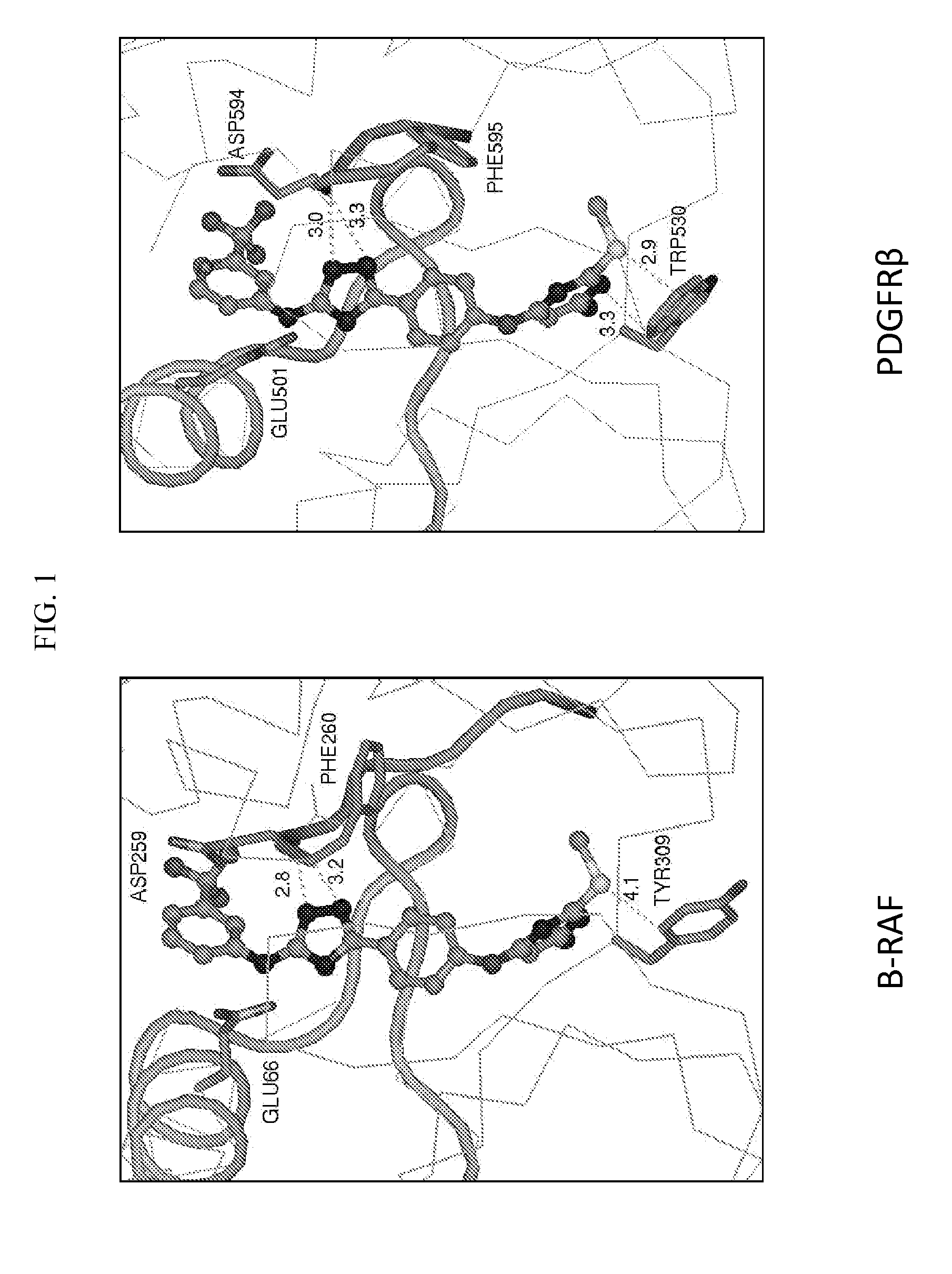 Therapeutic methods and compositions involving allosteric kinase inhibition