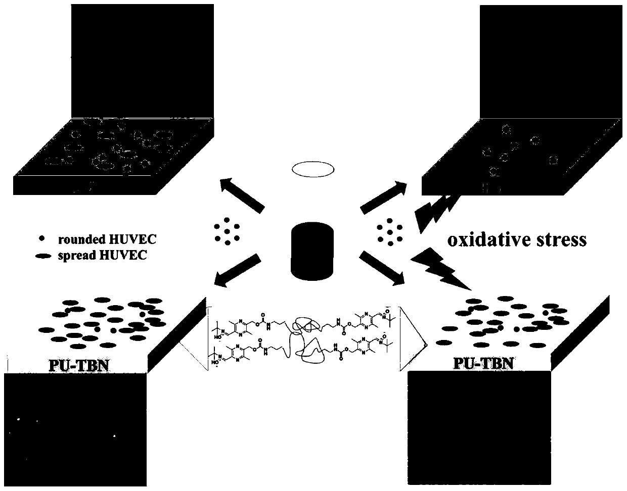 Bifunctional polyurethane and its preparation method and application