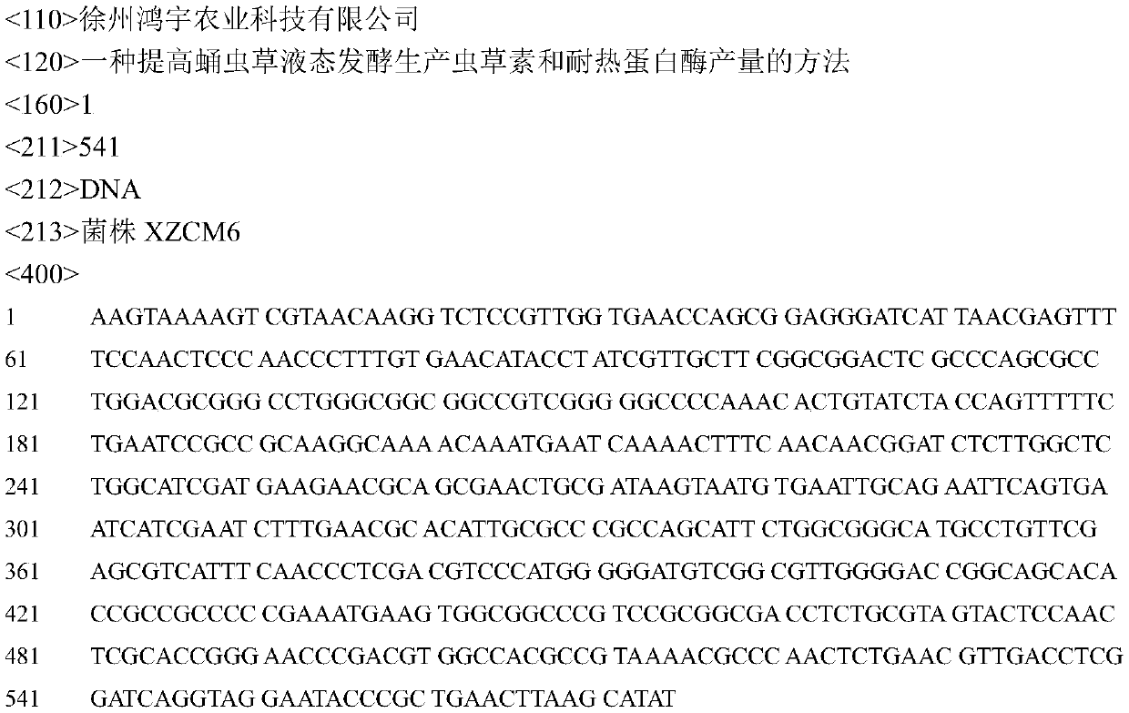 A kind of method for improving the yield of Cordyceps militaris liquid fermentation to produce cordycepin and heat-resistant protease