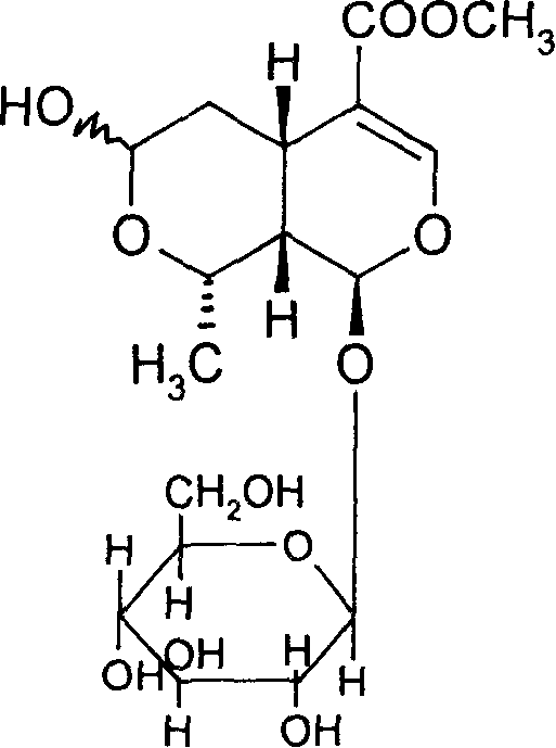 Use of molo glycoside in alpha-glucosaccharase inhibitor