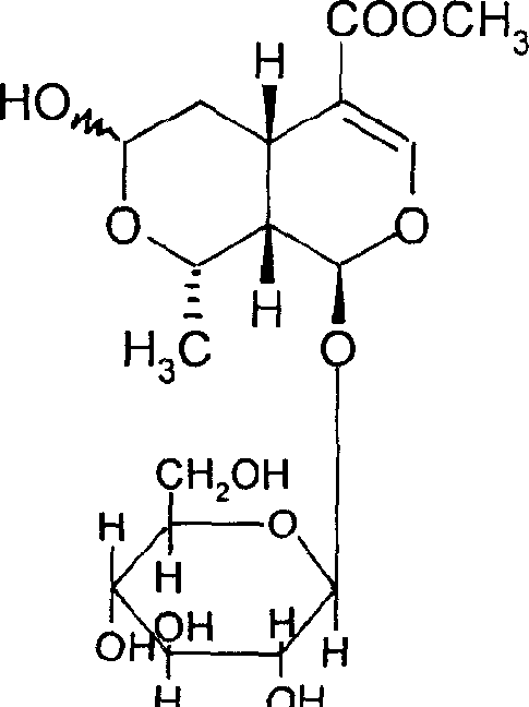 Use of molo glycoside in alpha-glucosaccharase inhibitor
