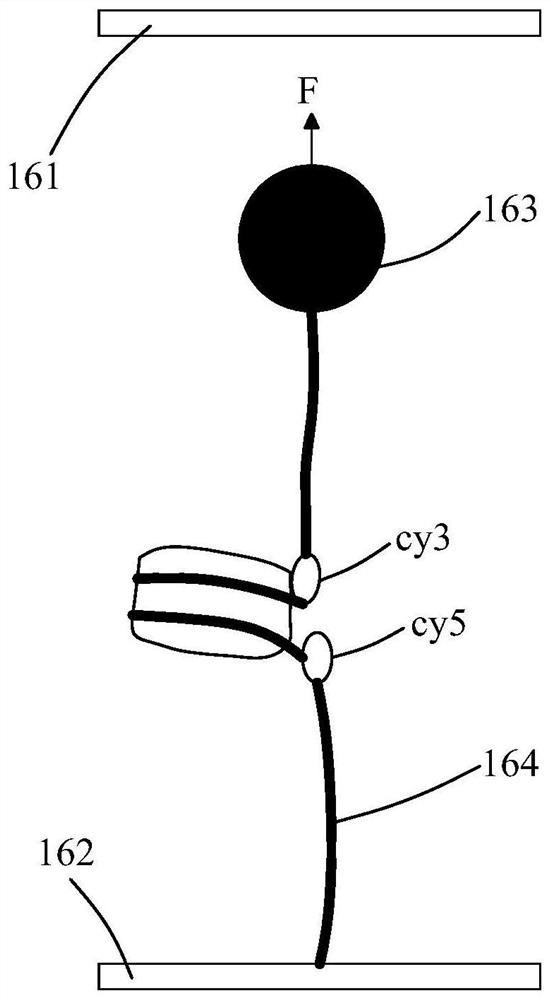 Magnetic tweezer fluorescence device