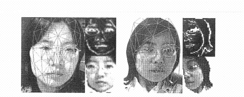 Method for analyzing facial expressions on basis of motion tracking