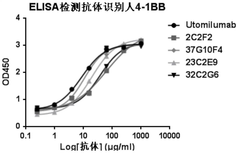 Application of humanized antibody for resisting 4-1BB