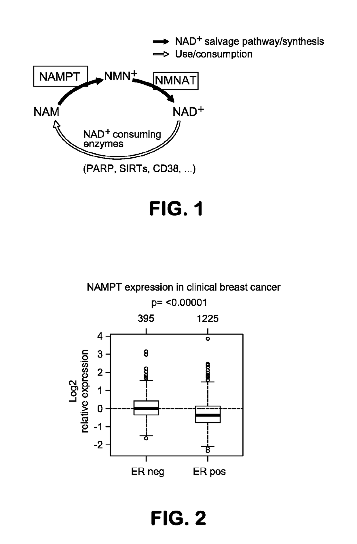Methods and compositions for enhancing cancer therapy