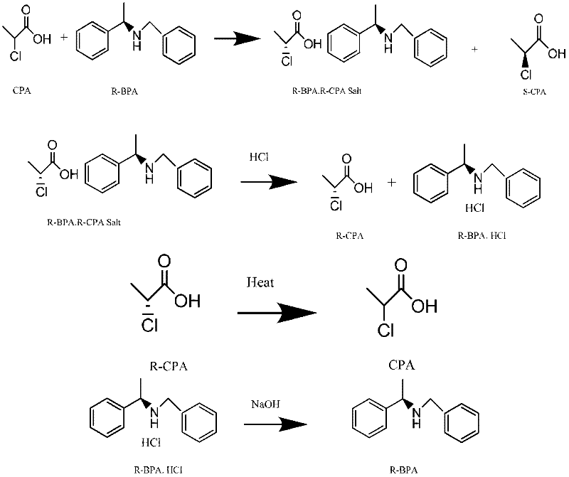 Method for preparing chiral (S)-2-propionic acid