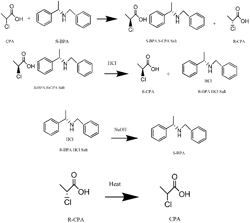 Method for preparing chiral (S)-2-propionic acid