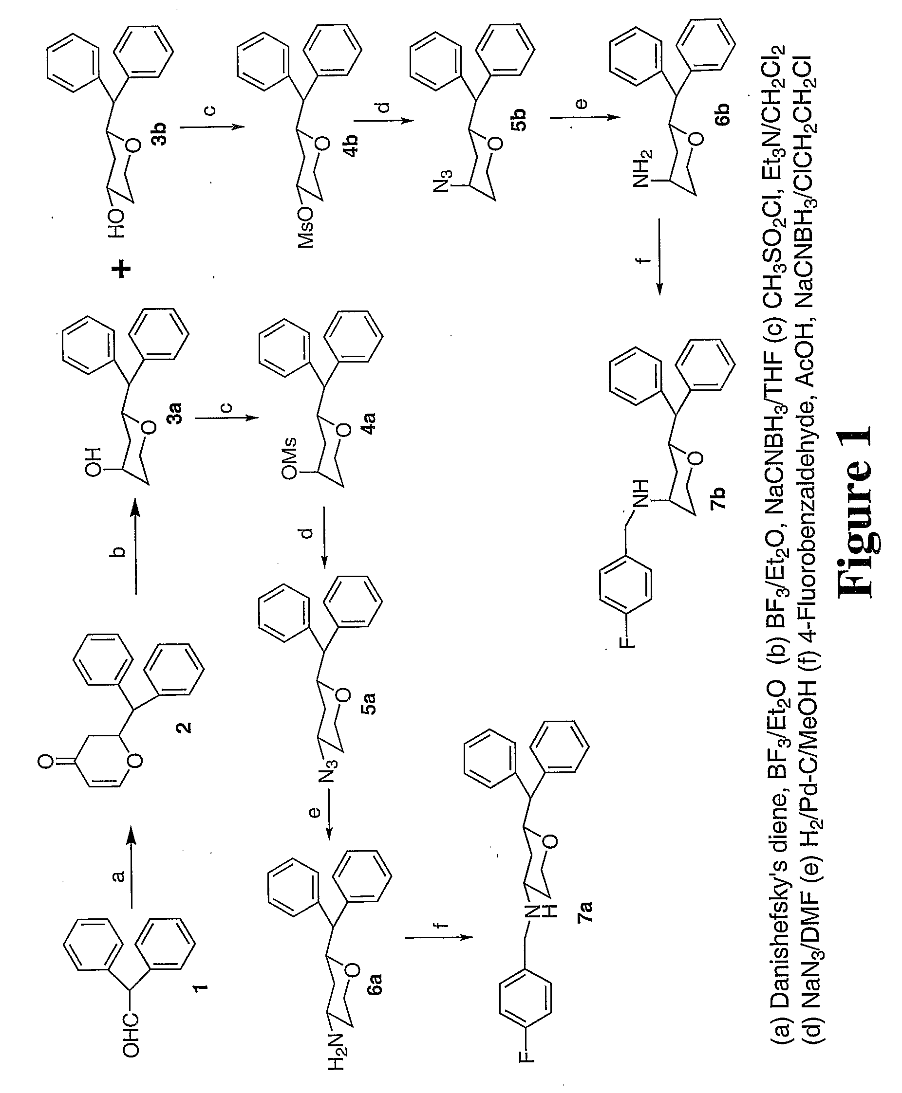 Tri-substitued 2-benzhydryl 5-benzlamino-tetrahydro-pyran-4-ol and 6-benzhydryl-4-benzylamino-tetrahydro-pyran-3-ol analogues, and novel 3,6 disubstituted pyran derivatives