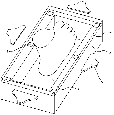 Scanning method of sole and foot shape