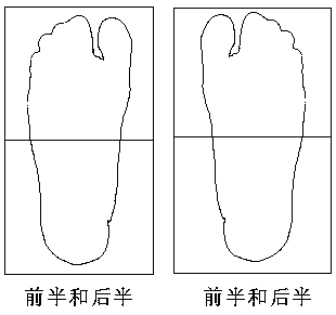 Scanning method of sole and foot shape