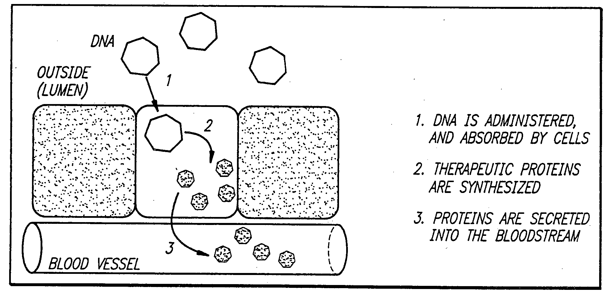 Delivery of therapeutic gene products by intestinal cell expression