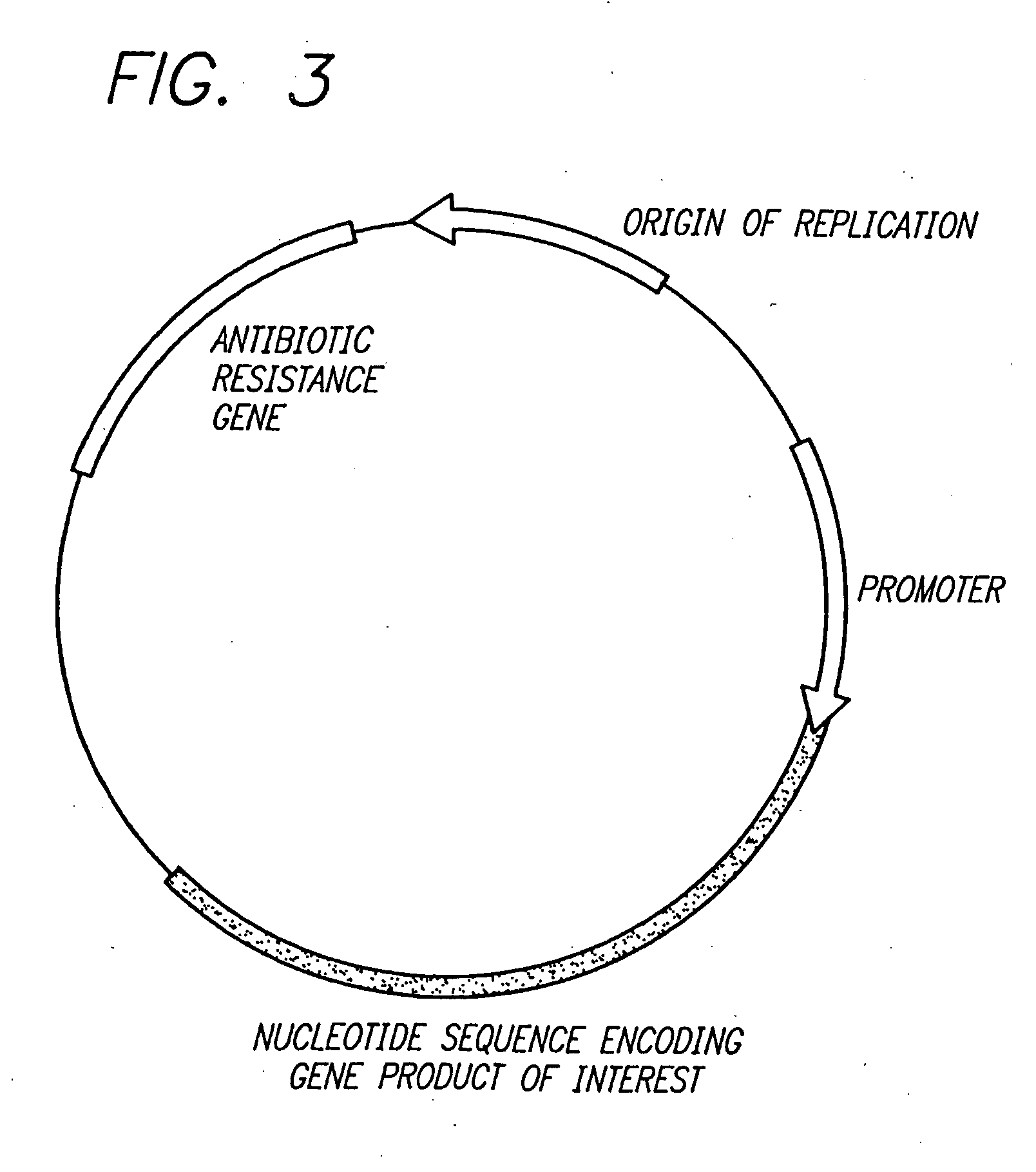 Delivery of therapeutic gene products by intestinal cell expression