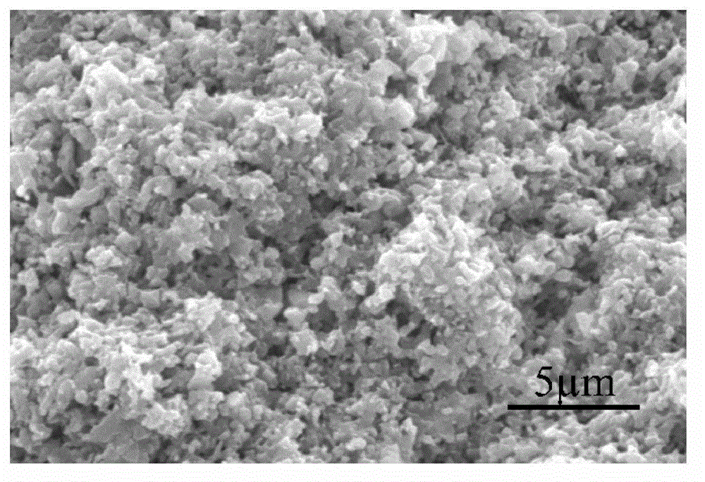 Silicon nitride/silicon carbide complex phase porous ceramic and preparation method thereof