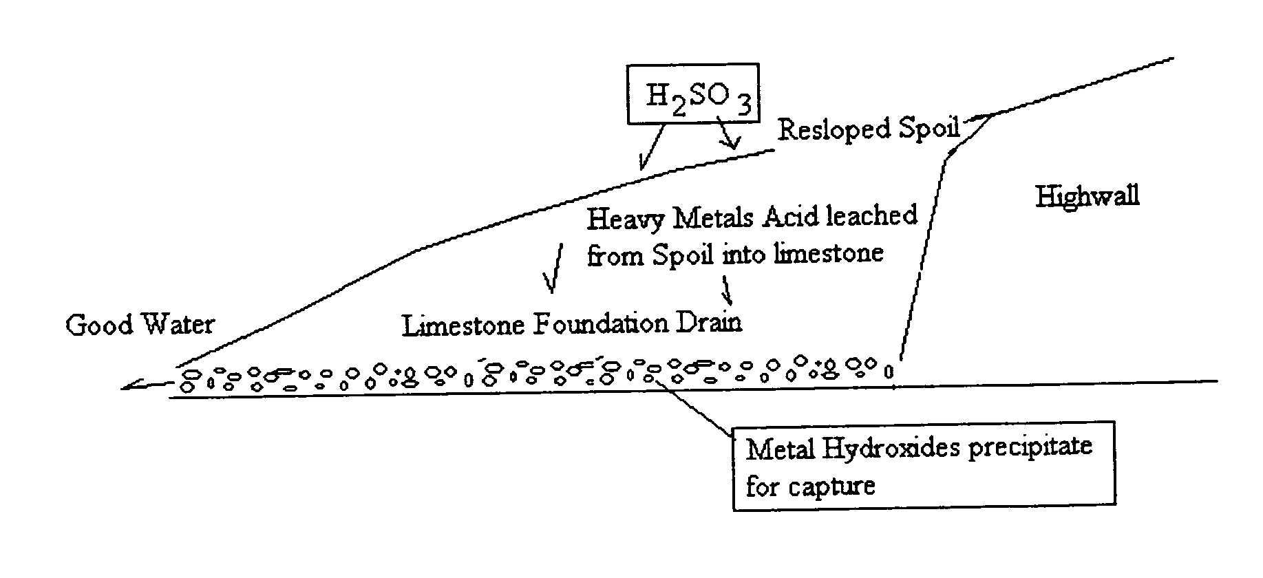 Method of removing heavy metals in soils and water