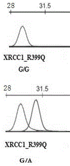 Primer and method for detecting XRCC1 gene polymorphism