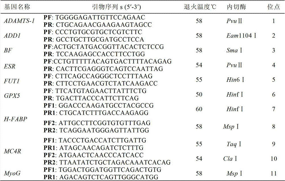 SNP molecular marker in porcine AMY2 gene for tracing and detection method thereof